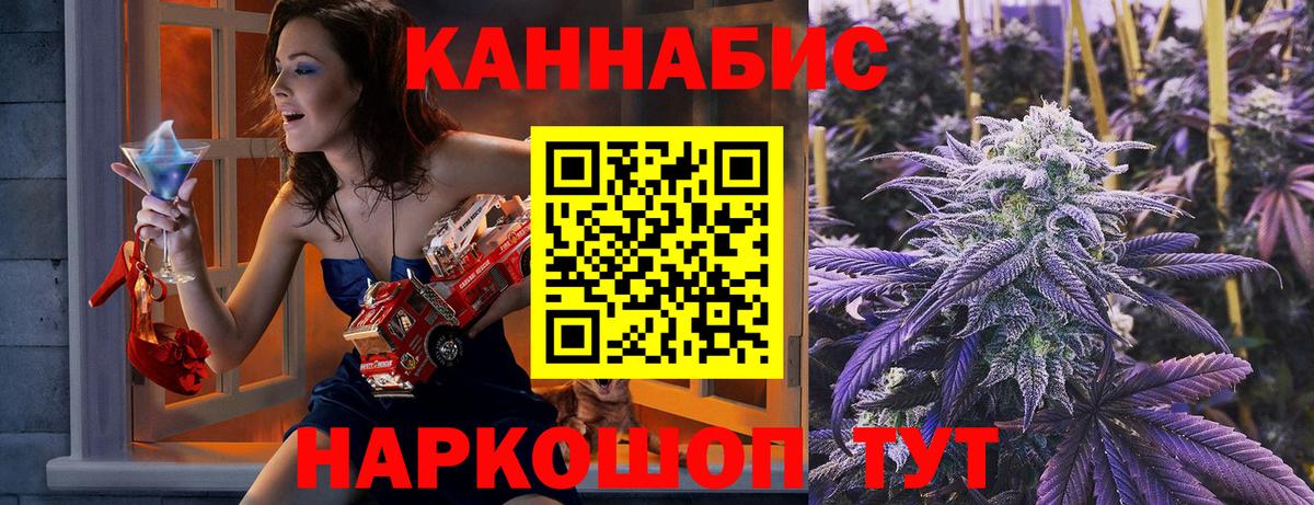 Каннабис SATIVA & INDICA Сунжа